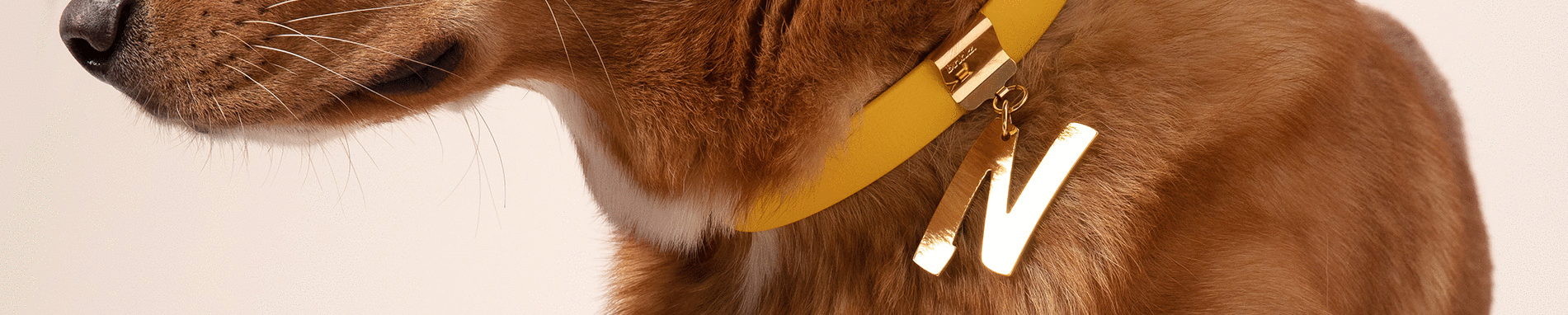 Buy a brkl, Get a Free Collar!