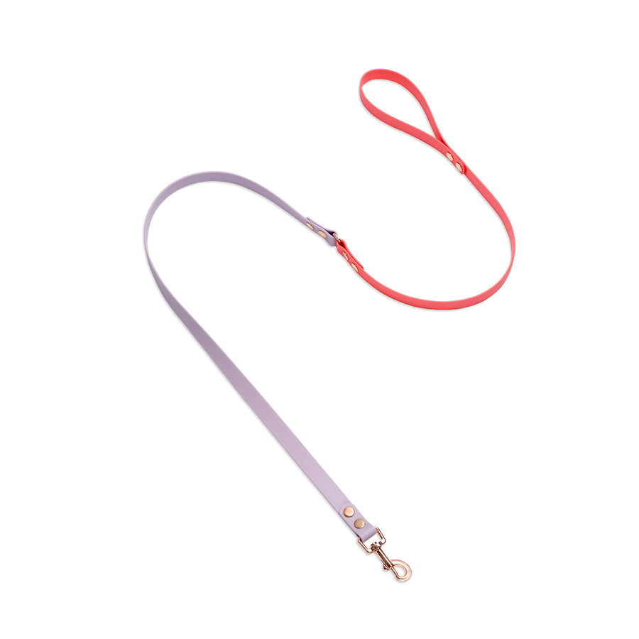 DUO brklz Leash Lavender/Coral