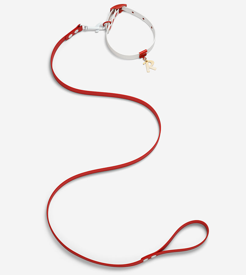 Santa Christmas Set: Limited Edition