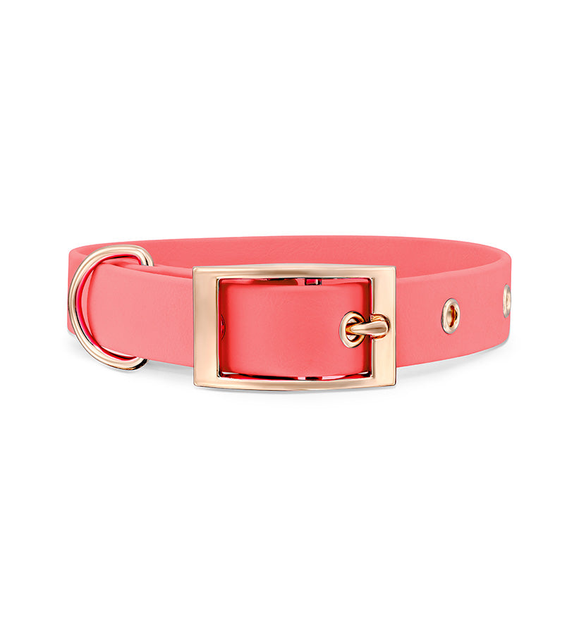brklz Rose Gold Collar Coral