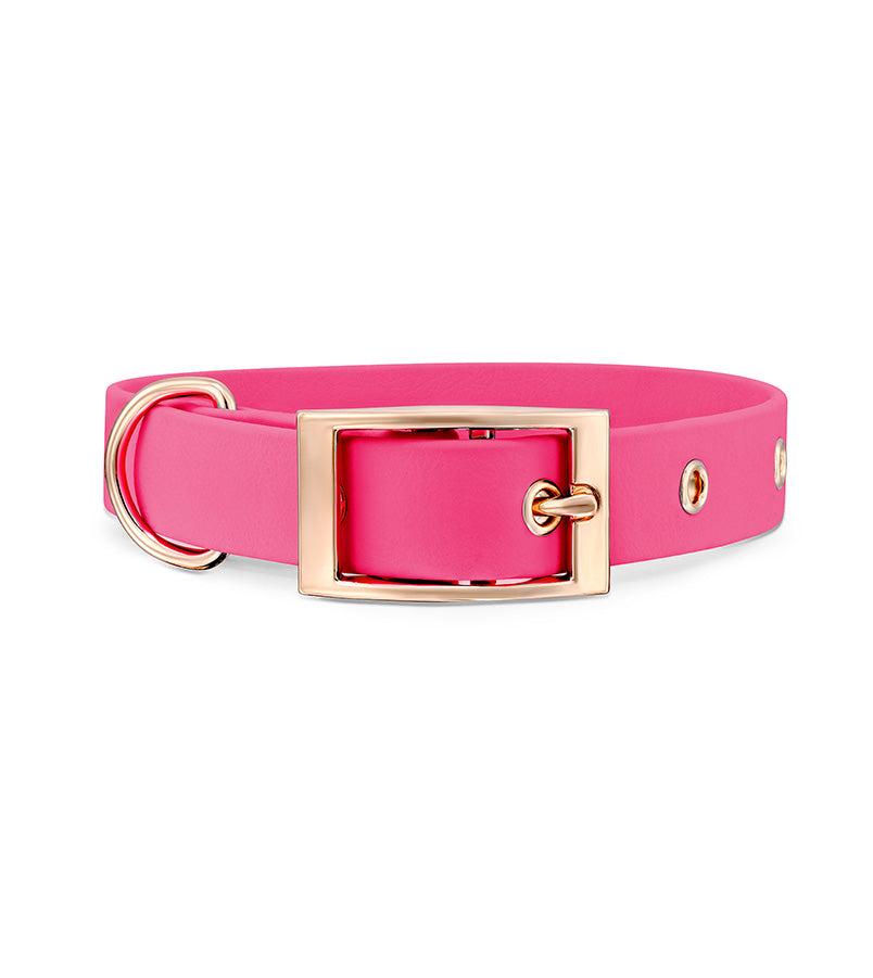 Rose Gold Collar Fuchsia