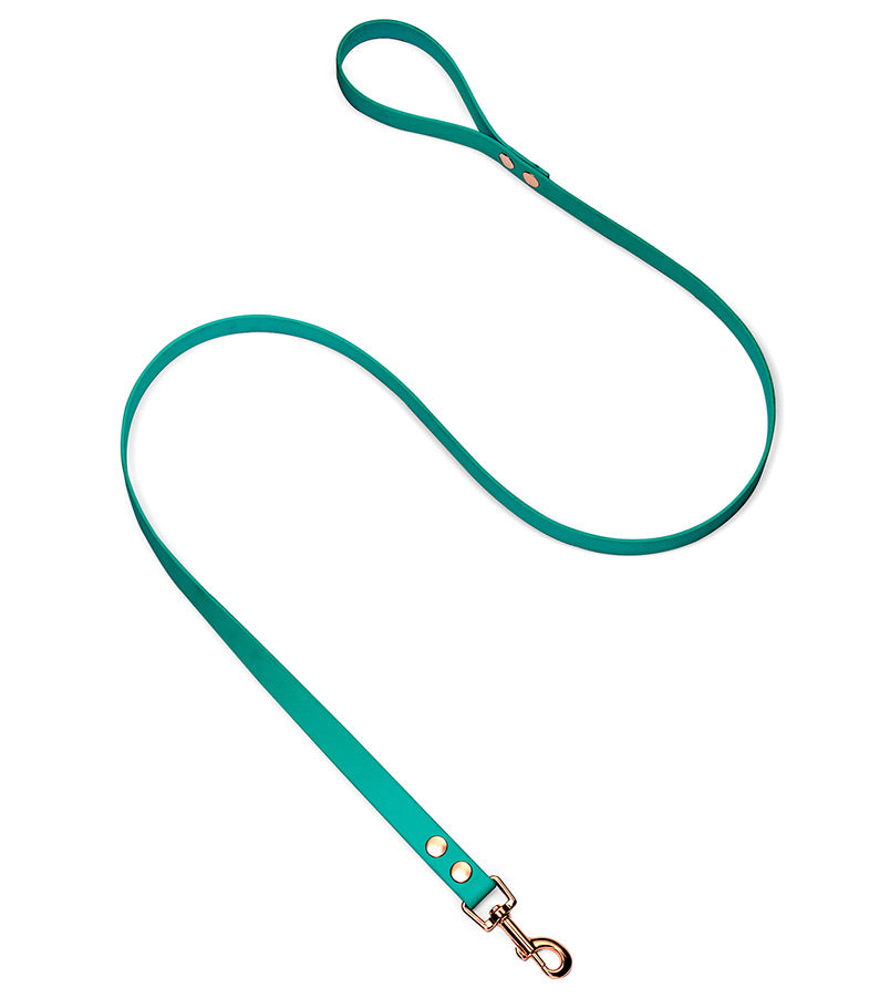 brklz Rose Gold Leash Turquoise