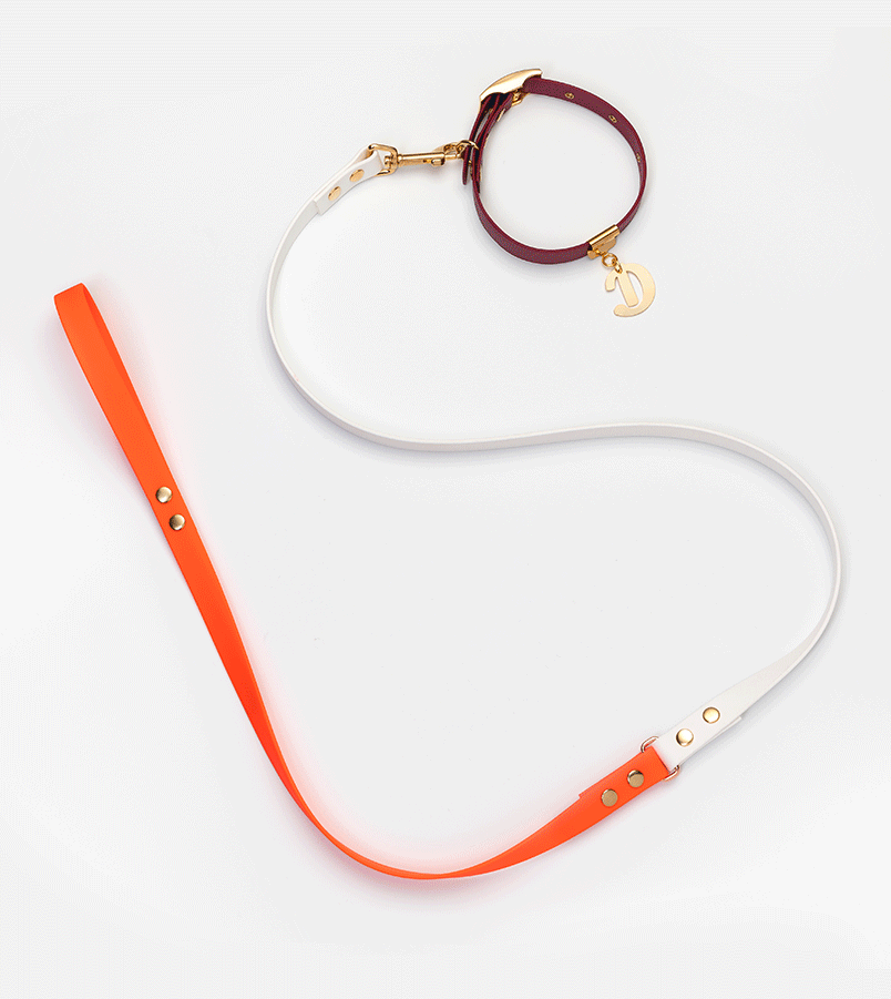 Sporty Set: Limited Edition