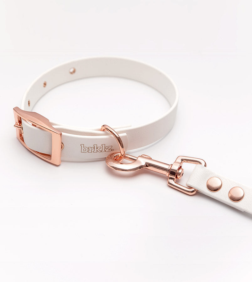 Pastels Set: Limited Edition