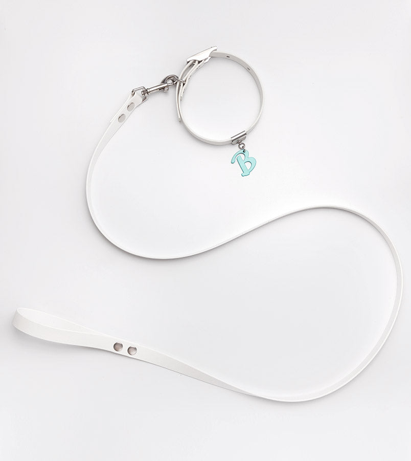 Pastels Set: Limited Edition